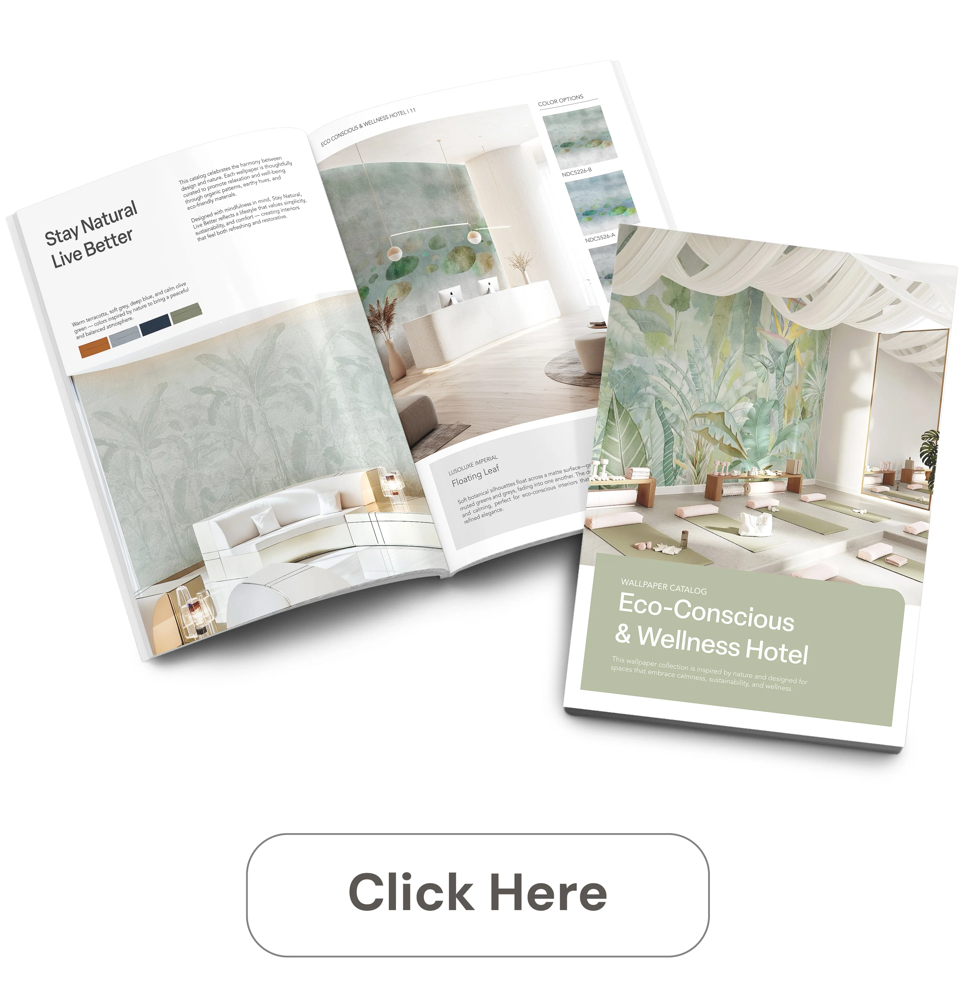 Eco Conscious & Wellness Hotel